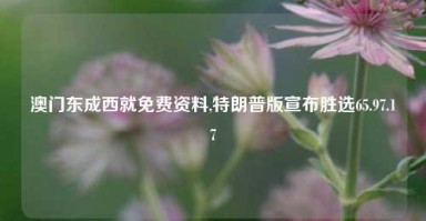 澳门东成西就免费资料,特朗普版宣布胜选65.97.17