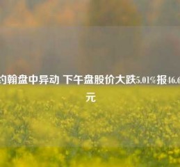 棒约翰盘中异动 下午盘股价大跌5.01%报46.68美元