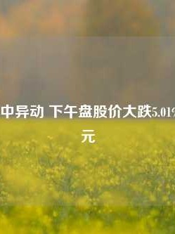 棒约翰盘中异动 下午盘股价大跌5.01%报46.68美元