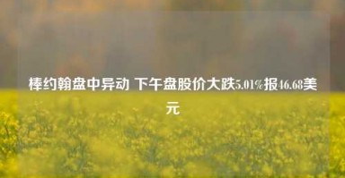 棒约翰盘中异动 下午盘股价大跌5.01%报46.68美元