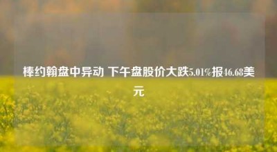 棒约翰盘中异动 下午盘股价大跌5.01%报46.68美元