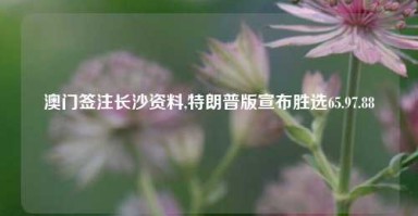 澳门签注长沙资料,特朗普版宣布胜选65.97.88