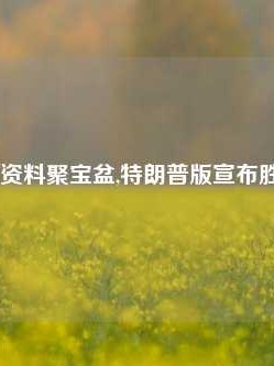 澳门免费资料聚宝盆,特朗普版宣布胜选65.97.82