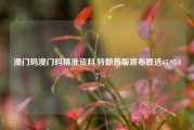 澳门码澳门码精准资料,特朗普版宣布胜选65.97.47