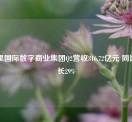 阿里国际数字商业集团Q2营收316.72亿元 同比增长29%