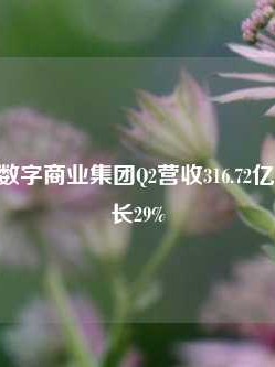 阿里国际数字商业集团Q2营收316.72亿元 同比增长29%