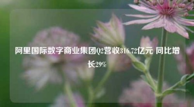 阿里国际数字商业集团Q2营收316.72亿元 同比增长29%