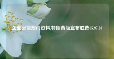 企业密信澳门资料,特朗普版宣布胜选65.97.38