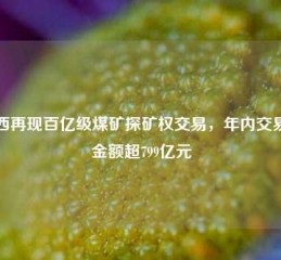 山西再现百亿级煤矿探矿权交易，年内交易总金额超799亿元