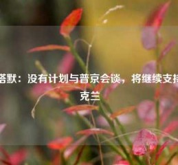 斯塔默：没有计划与普京会谈，将继续支持乌克兰