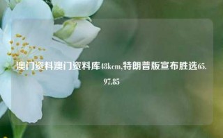 澳门资料澳门资料库48kcm,特朗普版宣布胜选65.97.85