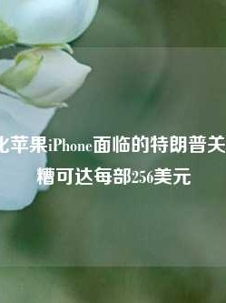 Jefferies量化苹果iPhone面临的特朗普关税冲击 最糟可达每部256美元