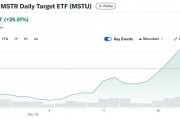 “比特币影子股”MSTR有多火？基金经理高呼是“不同的怪兽”，ETF被限制掉期交易