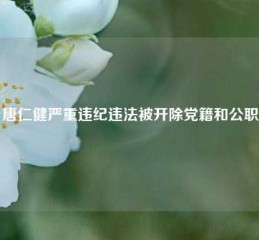 唐仁健严重违纪违法被开除党籍和公职