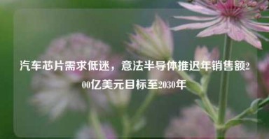 汽车芯片需求低迷，意法半导体推迟年销售额200亿美元目标至2030年