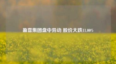 盈喜集团盘中异动 股价大跌11.00%