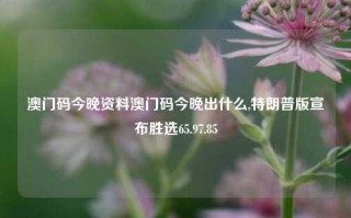 澳门码今晚资料澳门码今晚出什么,特朗普版宣布胜选65.97.85