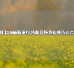 澳门2020最新资料,特朗普版宣布胜选65.97.30