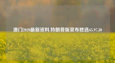 澳门2020最新资料,特朗普版宣布胜选65.97.30