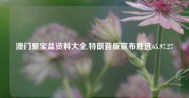 澳门聚宝盆资料大全,特朗普版宣布胜选65.97.27