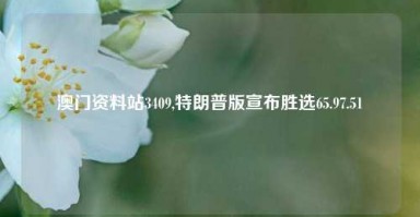 澳门资料站3409,特朗普版宣布胜选65.97.51