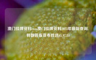 澳门挂牌资料com澳门挂牌资料2023年最新查询,特朗普版宣布胜选65.97.84