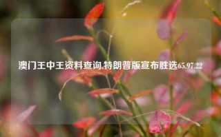 澳门王中王资料查询,特朗普版宣布胜选65.97.22