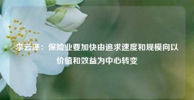 李云泽：保险业要加快由追求速度和规模向以价值和效益为中心转变