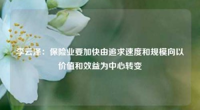 李云泽：保险业要加快由追求速度和规模向以价值和效益为中心转变