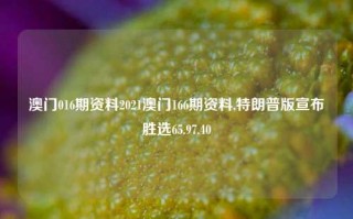 澳门016期资料2021澳门166期资料,特朗普版宣布胜选65.97.40