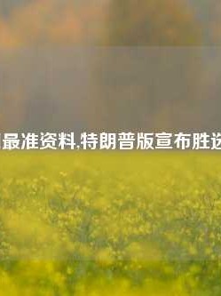 314澳门最准资料,特朗普版宣布胜选65.97.93