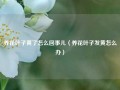 养花叶子黄了怎么回事儿（养花叶子发黄怎么办）