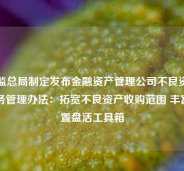 金监总局制定发布金融资产管理公司不良资产业务管理办法：拓宽不良资产收购范围 丰富处置盘活工具箱