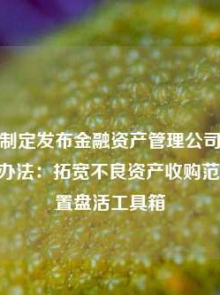 金监总局制定发布金融资产管理公司不良资产业务管理办法：拓宽不良资产收购范围 丰富处置盘活工具箱