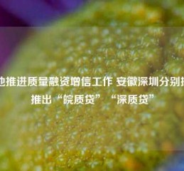 多地推进质量融资增信工作 安徽深圳分别探索推出“皖质贷”“深质贷”