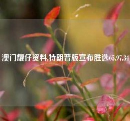 澳门耀仔资料,特朗普版宣布胜选65.97.34