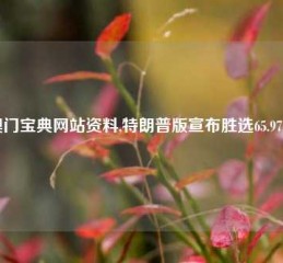 澳门宝典网站资料,特朗普版宣布胜选65.97.40