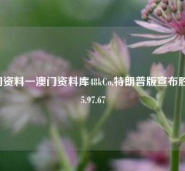 澳门资料一澳门资料库48kCo,特朗普版宣布胜选65.97.67