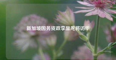 新加坡国务资政李显龙将访华