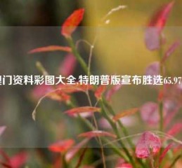 澳门资料彩图大全,特朗普版宣布胜选65.97.24