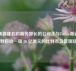 特朗普提名的商务部长的公司正与Tether商谈计划启动一项 20 亿美元的比特币贷款项目