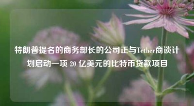 特朗普提名的商务部长的公司正与Tether商谈计划启动一项 20 亿美元的比特币贷款项目