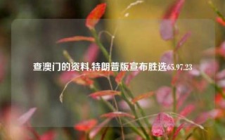 查澳门的资料,特朗普版宣布胜选65.97.23