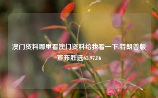 澳门资料哪里看澳门资料给我看一下,特朗普版宣布胜选65.97.86