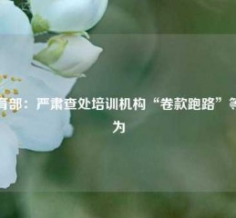 教育部：严肃查处培训机构“卷款跑路”等行为