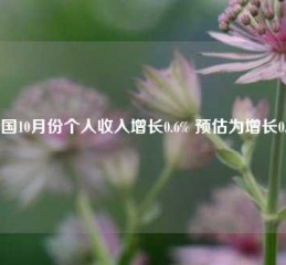 美国10月份个人收入增长0.6% 预估为增长0.3%