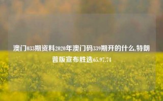 澳门033期资料2020年澳门码339期开的什么,特朗普版宣布胜选65.97.74