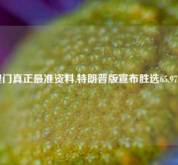 澳门真正最准资料,特朗普版宣布胜选65.97.24