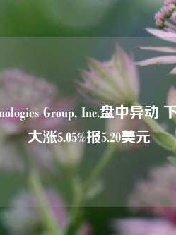 Shoals Technologies Group, Inc.盘中异动 下午盘股价大涨5.05%报5.20美元