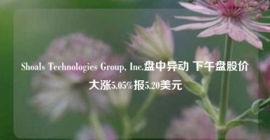 Shoals Technologies Group, Inc.盘中异动 下午盘股价大涨5.05%报5.20美元